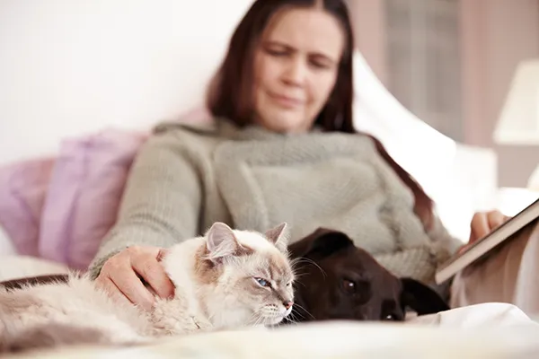 Woman reading on couch with her dog and cat