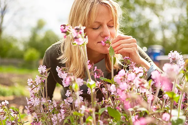 older woman smelling pink wildflowers in a field